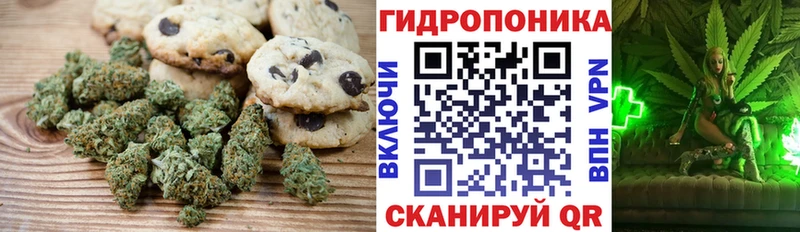 Cannafood марихуана Обоянь