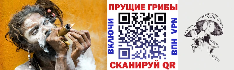 Псилоцибиновые грибы прущие грибы  blacksprut   Обоянь 
